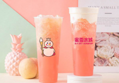 开蜜雪冰城给您一个时尚投资创业选择